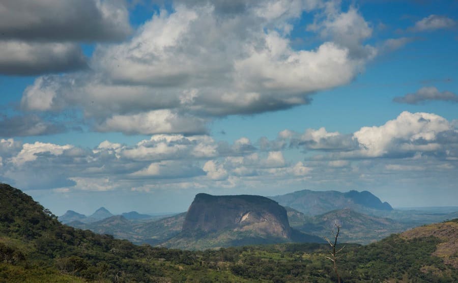 Researcher Discovers Secret African Rainforest