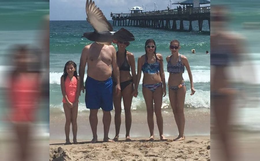 A family taking a photo on the beach with a bird flying in front of the father’s face 