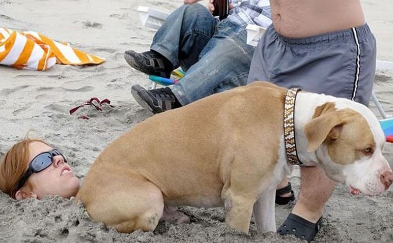 A dog sitting right next to a woman’s face which is buried in the sand 
