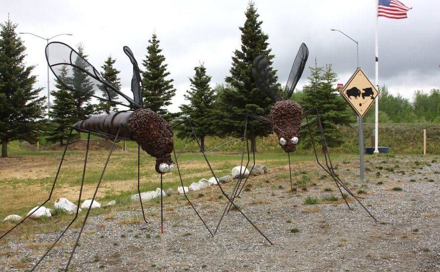 Two very large mosquito staues on the side of the road look like they’re ready to attack. 