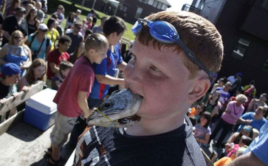 A young boy holding the fish head he manged to bob in his mouth victoriously. 