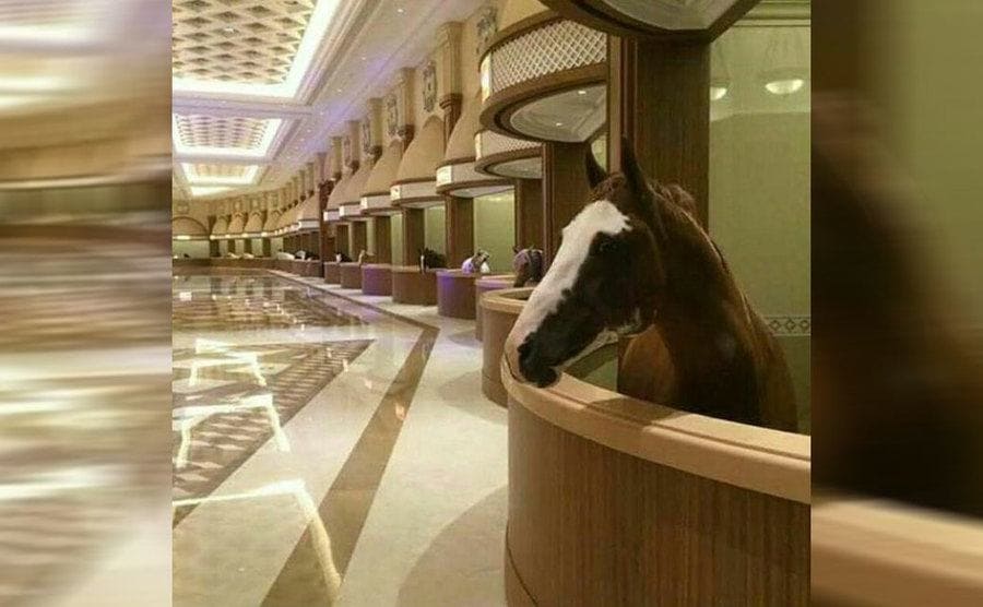 A horse in a nice stable inside of a stable with a marbled floor 