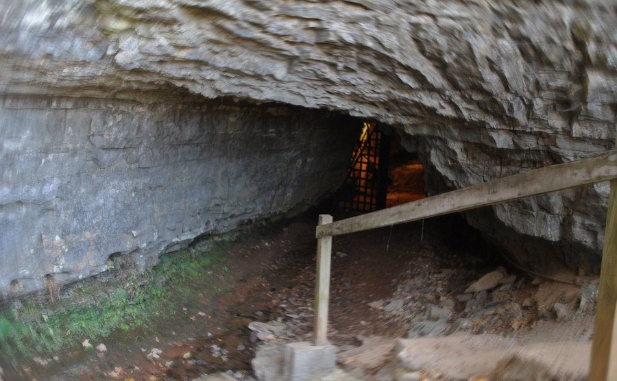 An exterior shot of Cave.