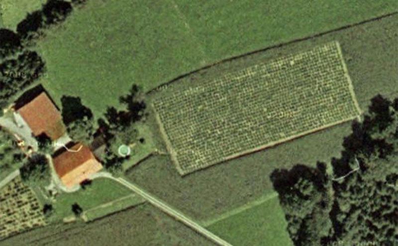 Areal images of the cannabis farm. 