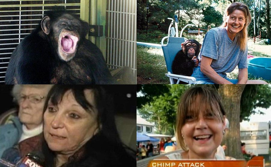 Tavis the chimp / Travis and Charla Nash / Sandra Harold / Charla Nash 